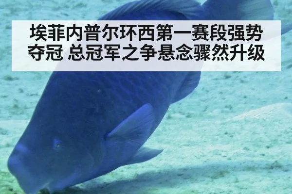 埃菲内普尔环西第一赛段强势夺冠 总冠军之争悬念骤然升级